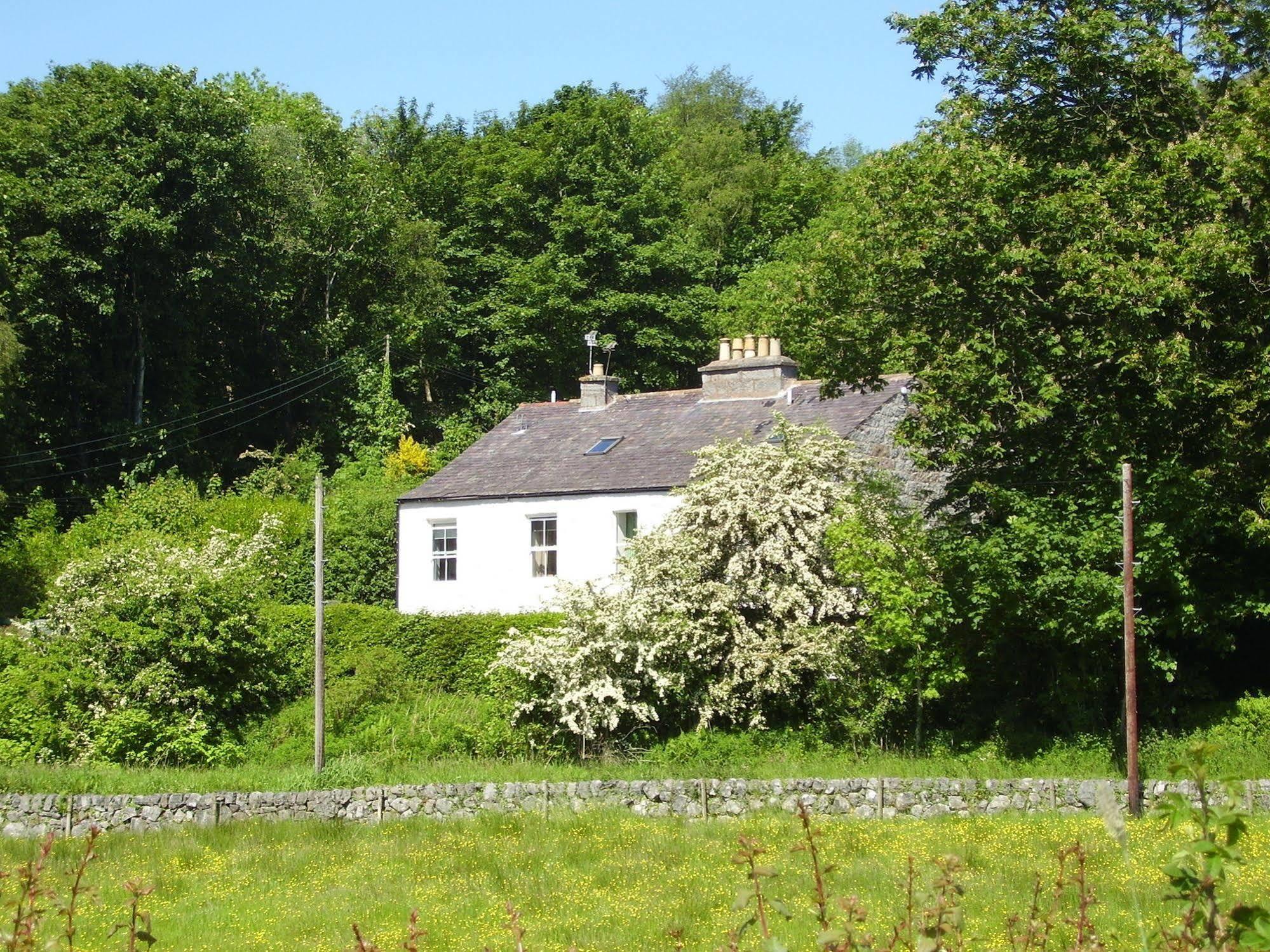 Craignair Cottage 달비티 외부 사진